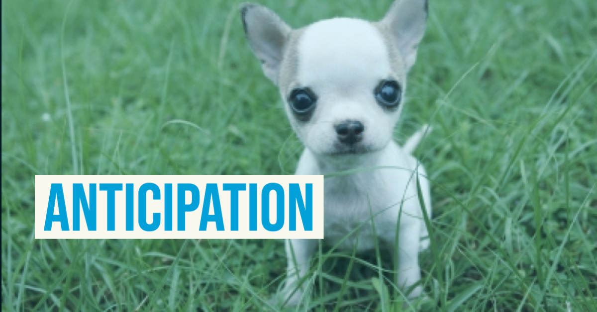 how-to-use-anticipation-in-marketing-commstorm